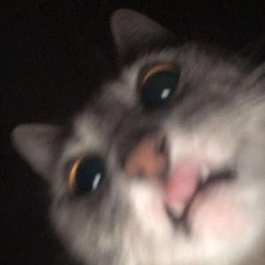 Meet your Posher, Rasheda